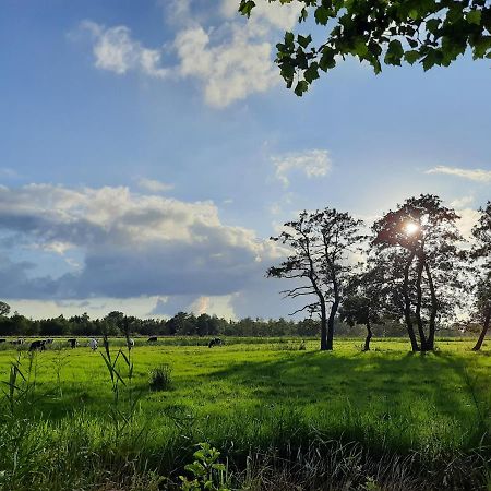Pipowagen 'T Strunerke Augustinusga エクステリア 写真